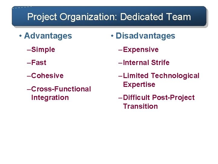 Project Organization: Dedicated Team • Advantages • Disadvantages – Simple – Expensive – Fast