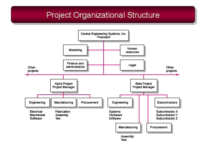 Project Organizational Structure 