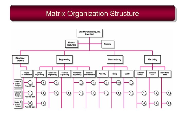 Matrix Organization Structure 