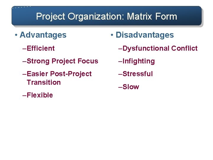 Project Organization: Matrix Form • Advantages • Disadvantages – Efficient – Dysfunctional Conflict –