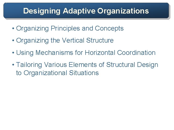 Designing Adaptive Organizations • Organizing Principles and Concepts • Organizing the Vertical Structure •
