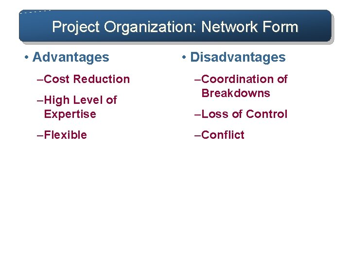 Project Organization: Network Form • Advantages – Cost Reduction – High Level of Expertise