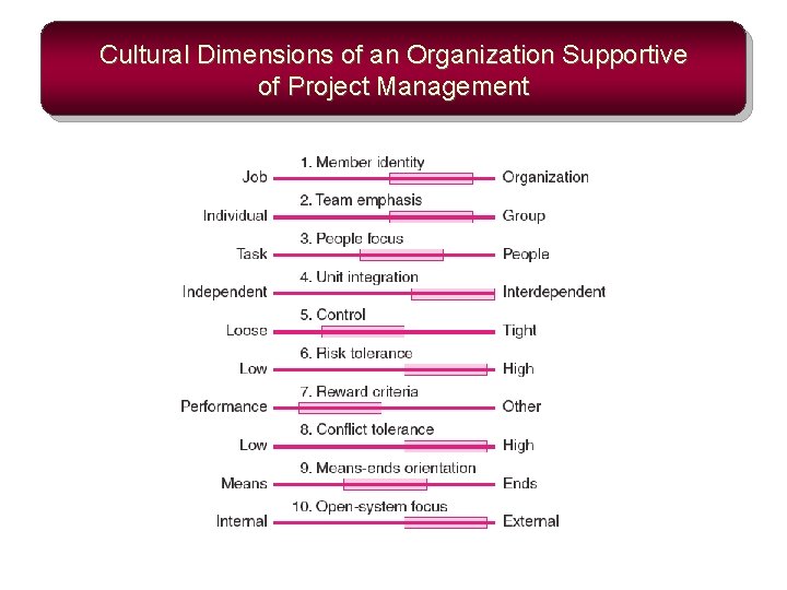 Cultural Dimensions of an Organization Supportive of Project Management 