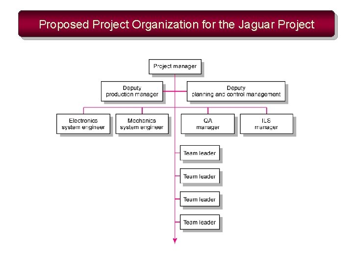 Proposed Project Organization for the Jaguar Project 