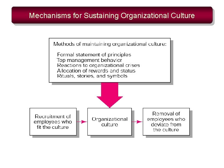 Mechanisms for Sustaining Organizational Culture 