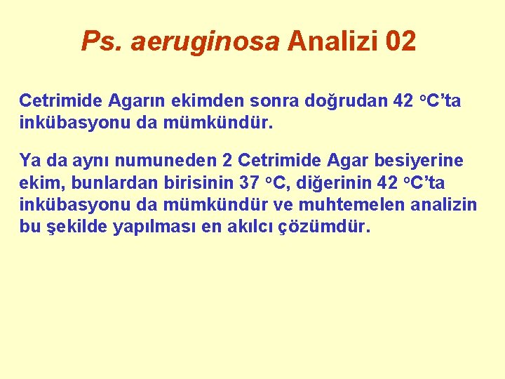 Ps. aeruginosa Analizi 02 Cetrimide Agarın ekimden sonra doğrudan 42 o. C’ta inkübasyonu da