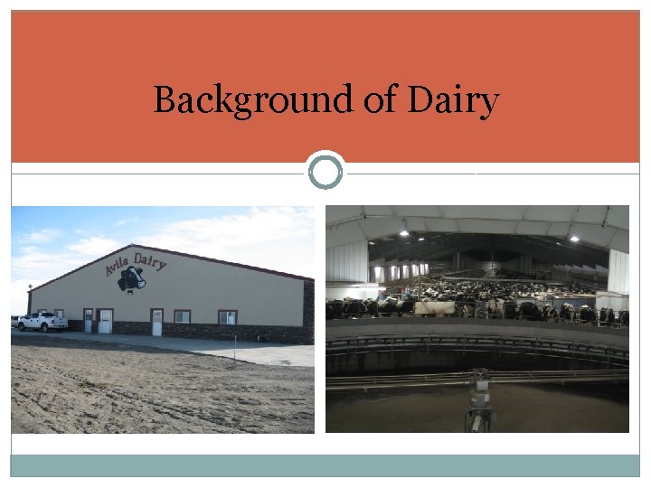 Background of Dairy 