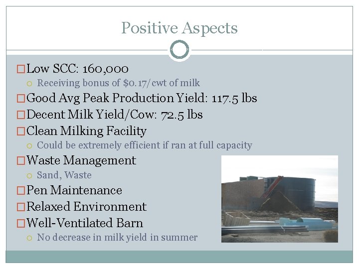 Positive Aspects �Low SCC: 160, 000 Receiving bonus of $0. 17/cwt of milk �Good