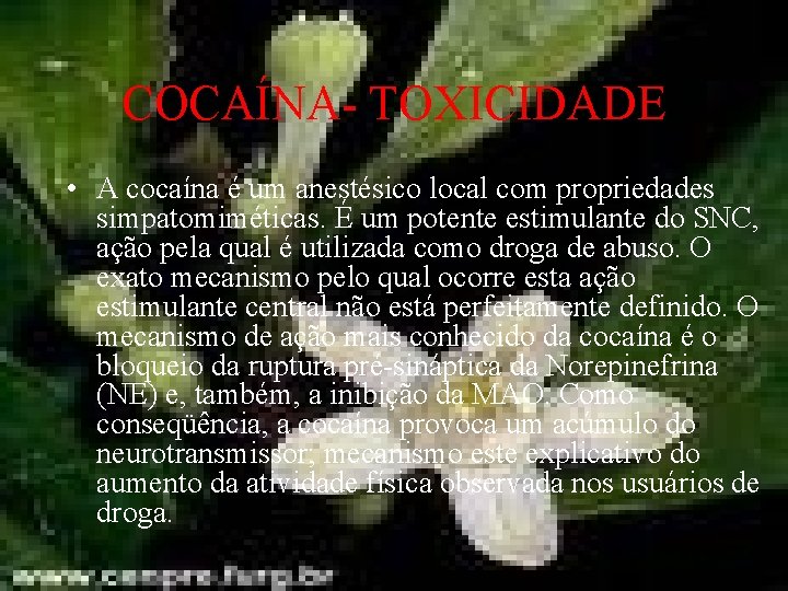 COCAÍNA- TOXICIDADE • A cocaína é um anestésico local com propriedades simpatomiméticas. É um