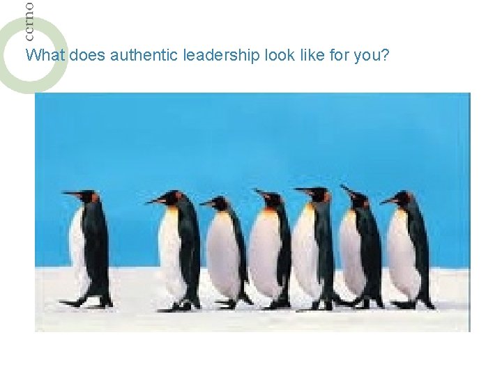 What does authentic leadership look like for you? 