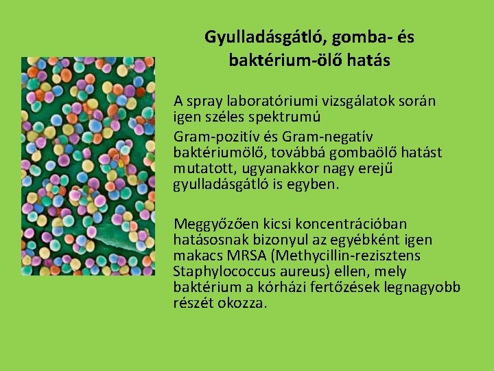 Gyulladásgátló, gomba- és baktérium-ölő hatás A spray laboratóriumi vizsgálatok során igen széles spektrumú Gram-pozitív