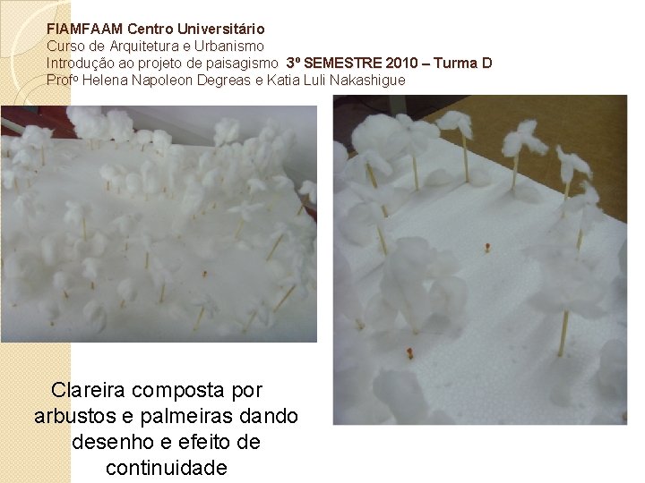 FIAMFAAM Centro Universitário Curso de Arquitetura e Urbanismo Introdução ao projeto de paisagismo 3⁰