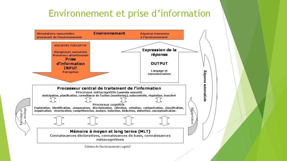 Environnement et prise d’information 