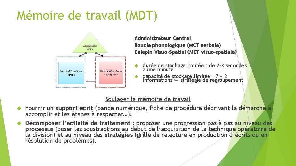 Mémoire de travail (MDT) Administrateur Central Boucle phonologique (MCT verbale) Calepin Visuo-Spatial (MCT visuo-spatiale)