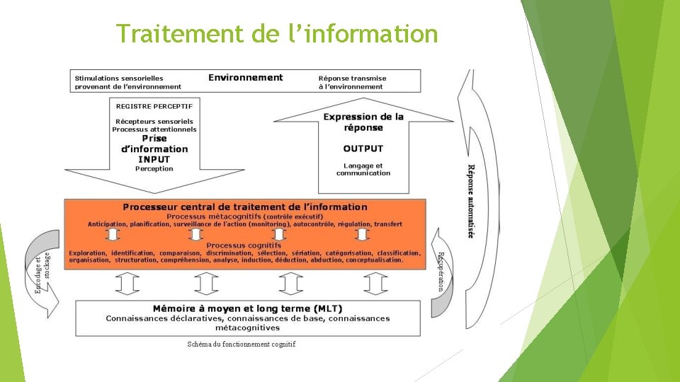 Traitement de l’information 