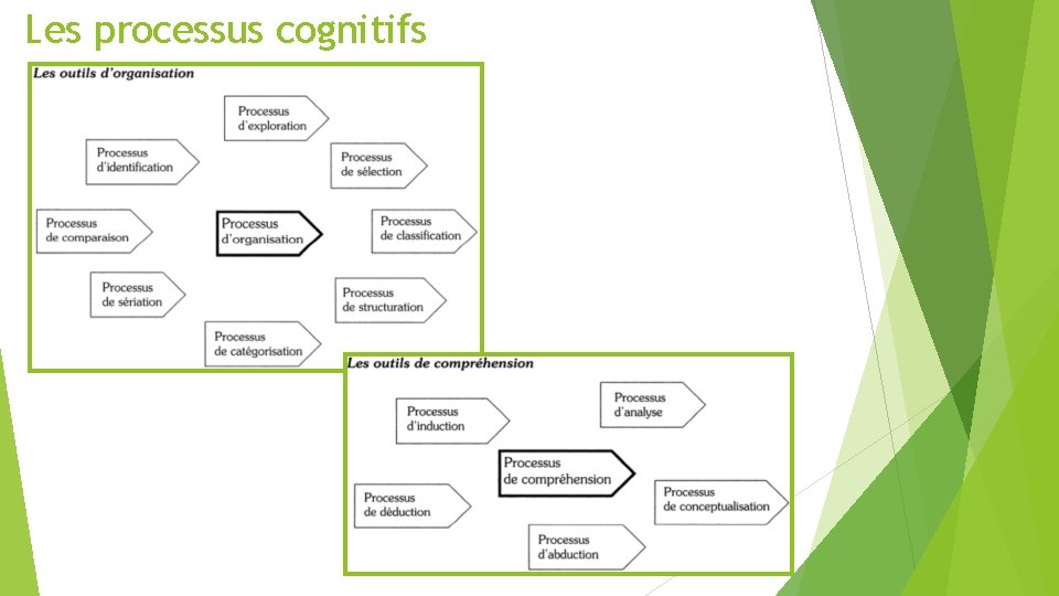 Les processus cognitifs 