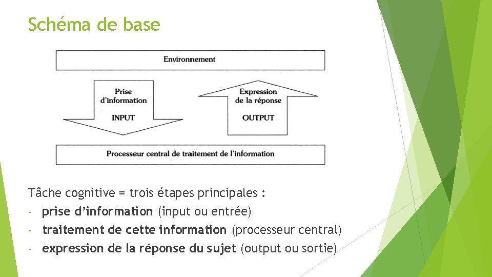 Schéma de base Tâche cognitive = trois étapes principales : - prise d’information (input