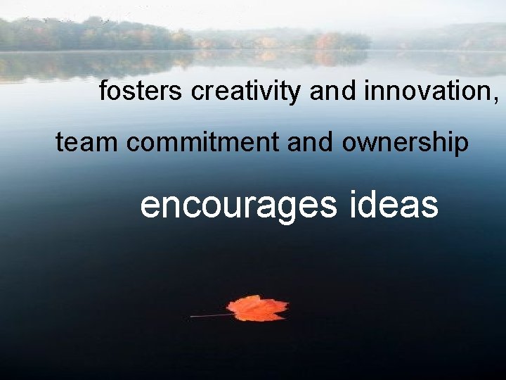 fosters creativity and innovation, team commitment and ownership encourages ideas 