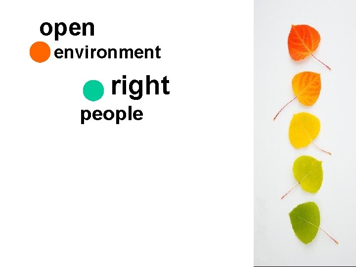 open environment right people 