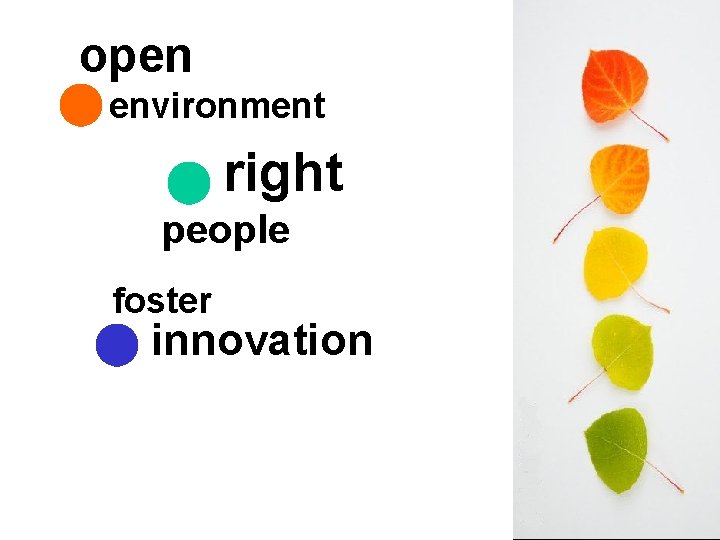 open environment right people foster innovation 
