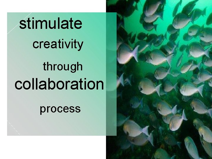 Trustworthiness stimulate creativity through collaboration process 