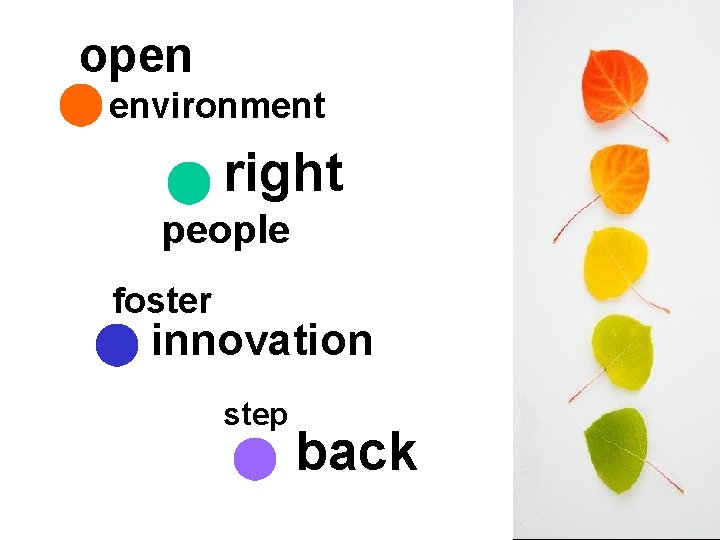 open environment right people foster innovation step back 