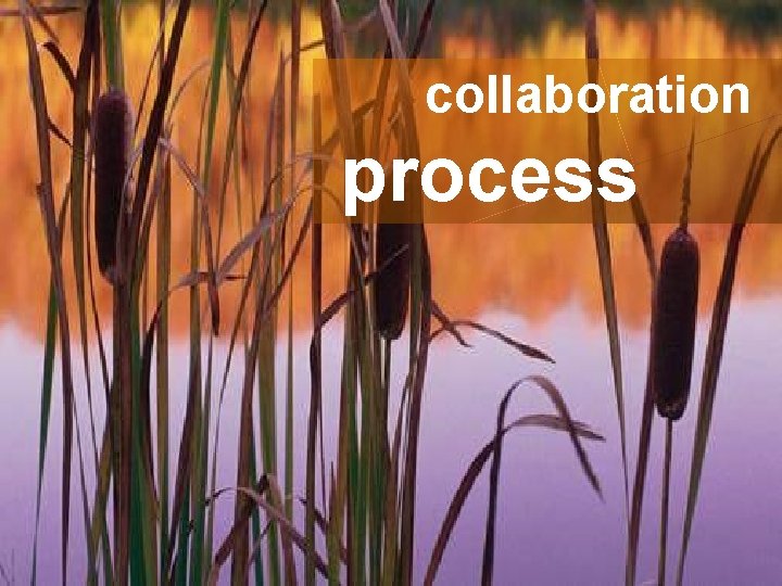 Project Management collaboration process § Dependency Management 