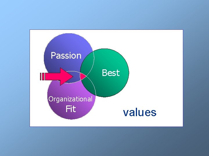 Passion Best Organizational Fit values 