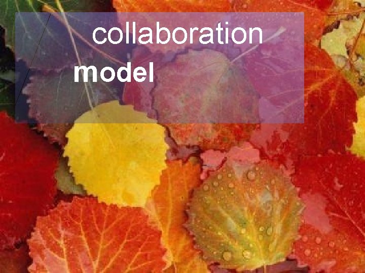 Leading Agile collaboration model § Collaboration Model § Collaboration Process 