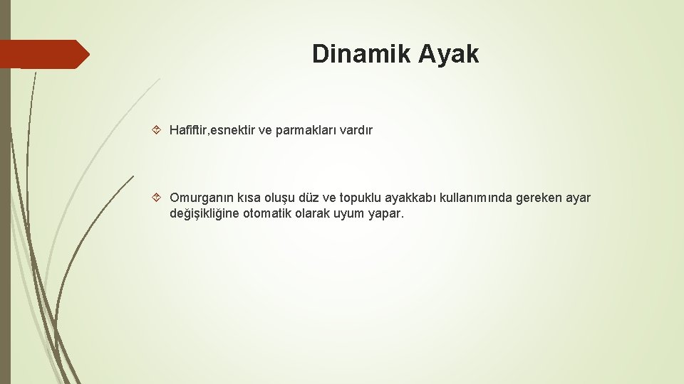 Dinamik Ayak Hafiftir, esnektir ve parmakları vardır Omurganın kısa oluşu düz ve topuklu ayakkabı