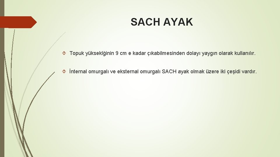 SACH AYAK Topuk yükseklğinin 9 cm e kadar çıkabilmesinden dolayı yaygın olarak kullanılır. İnternal