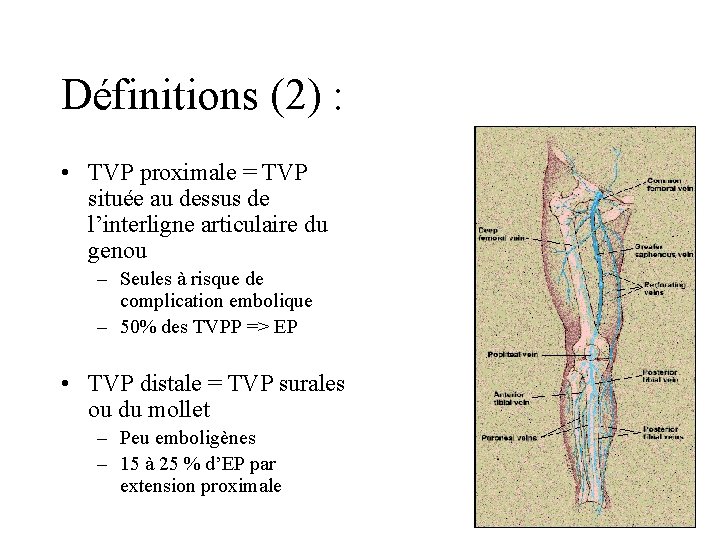 Définitions (2) : • TVP proximale = TVP située au dessus de l’interligne articulaire