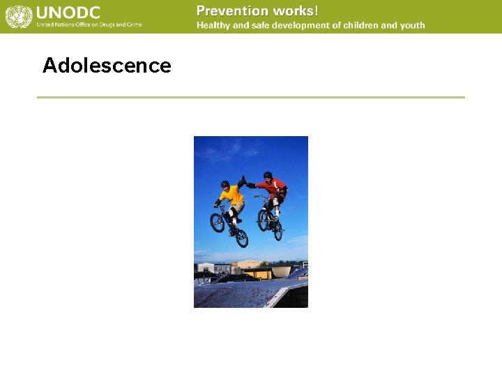 Adolescence 