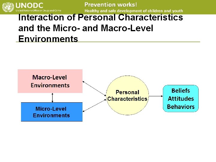 Interaction of Personal Characteristics and the Micro- and Macro-Level Environments 