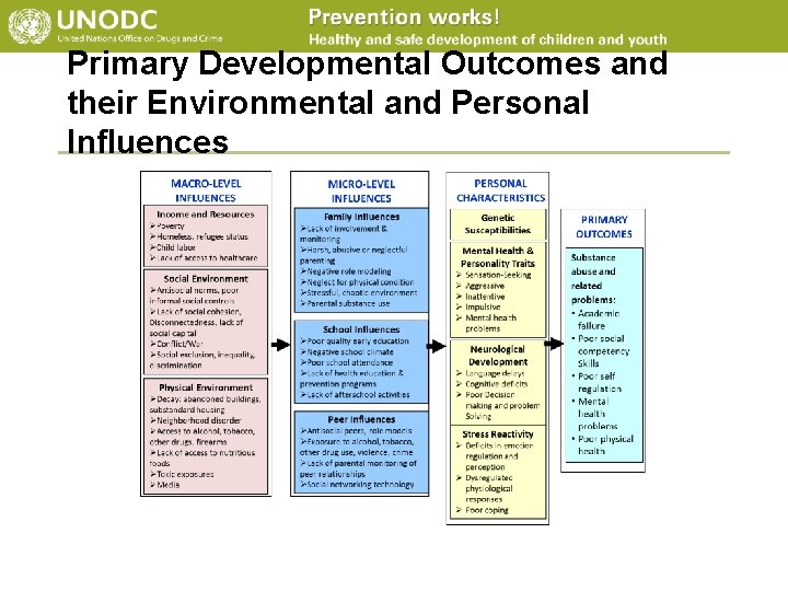 Primary Developmental Outcomes and their Environmental and Personal Influences 