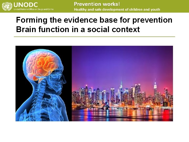 Forming the evidence base for prevention Brain function in a social context 