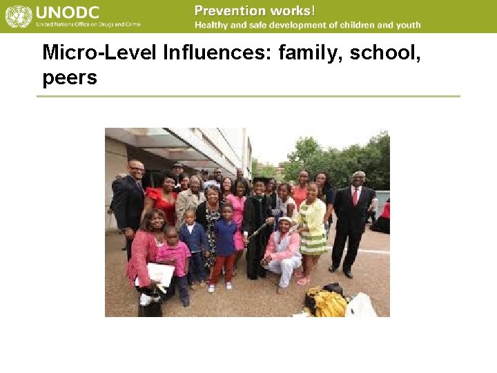 Micro-Level Influences: family, school, peers 