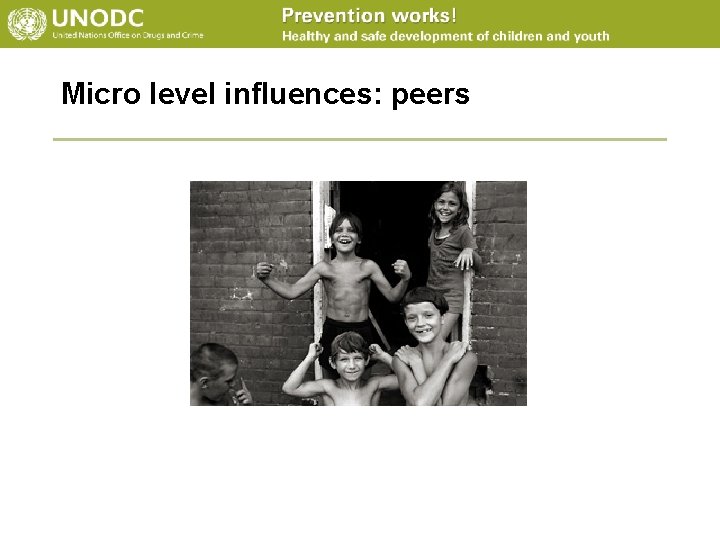 Micro level influences: peers 