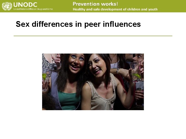 Sex differences in peer influences 