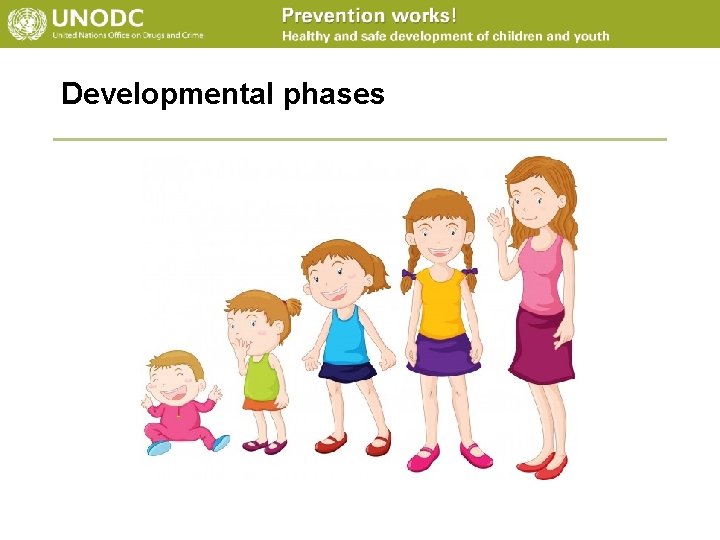 Developmental phases 