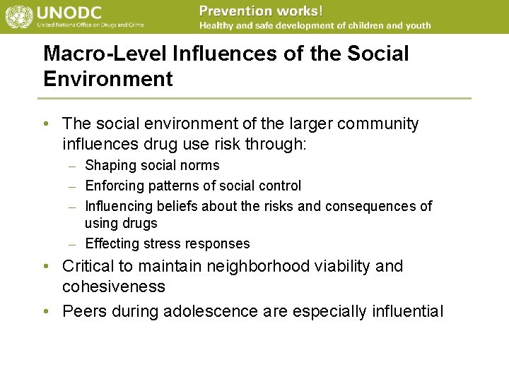Macro-Level Influences of the Social Environment • The social environment of the larger community