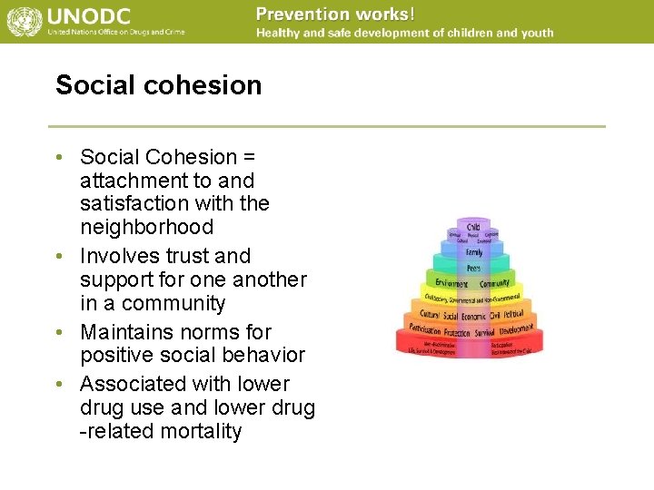 Social cohesion • Social Cohesion = attachment to and satisfaction with the neighborhood •