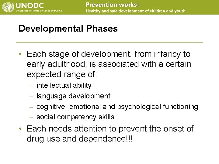 Developmental Phases • Each stage of development, from infancy to early adulthood, is associated