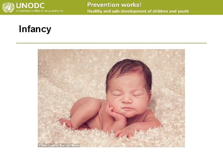 Infancy 
