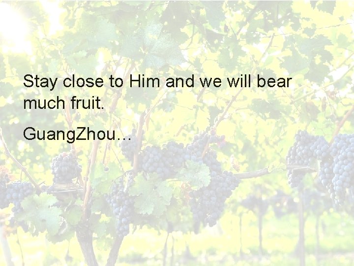Stay close to Him and we will bear much fruit. Guang. Zhou… 