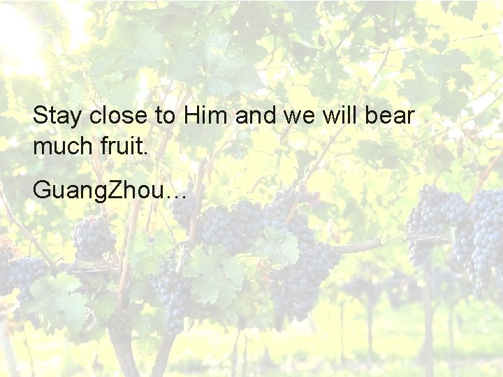 Stay close to Him and we will bear much fruit. Guang. Zhou… Stay close to Him and we will bear much fruit. Guang. Zhou…