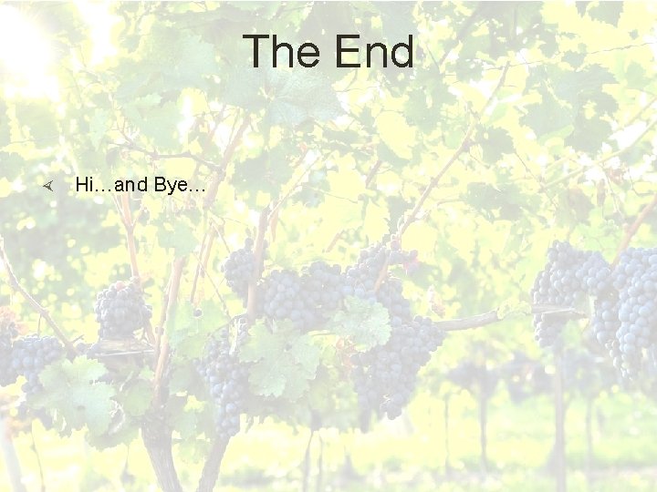 The End Hi…and Bye… 
