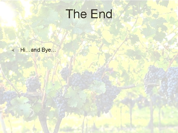 The End Hi…and Bye… The End Hi…and Bye…