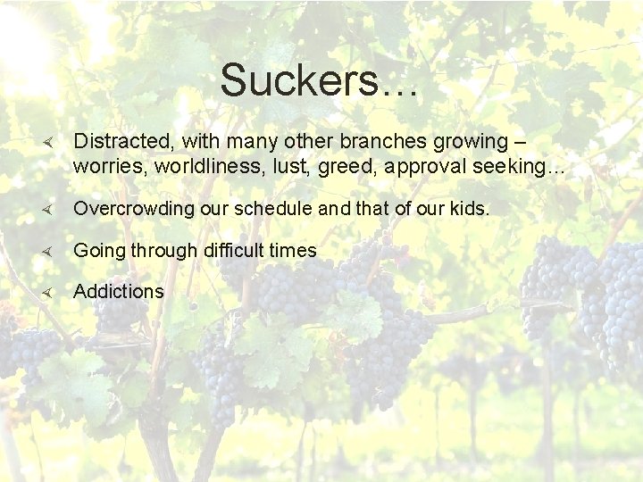 Suckers… Distracted, with many other branches growing – worries, worldliness, lust, greed, approval seeking… Suckers… Distracted, with many other branches growing – worries, worldliness, lust, greed, approval seeking…