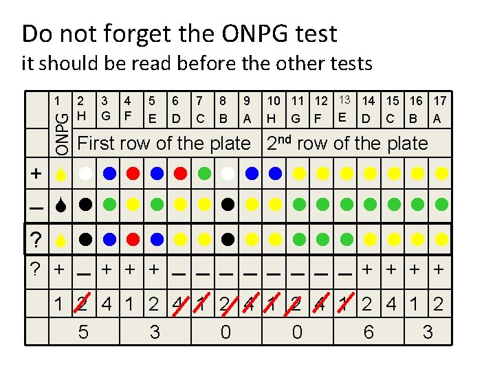 Do not forget the ONPG test it should be read before the other tests